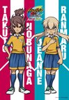 vol223_POSTER_inazuma.jpg