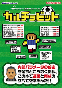 任天堂ゲーム攻略本 サッカーチーム育成シミュレーション カルチョビット